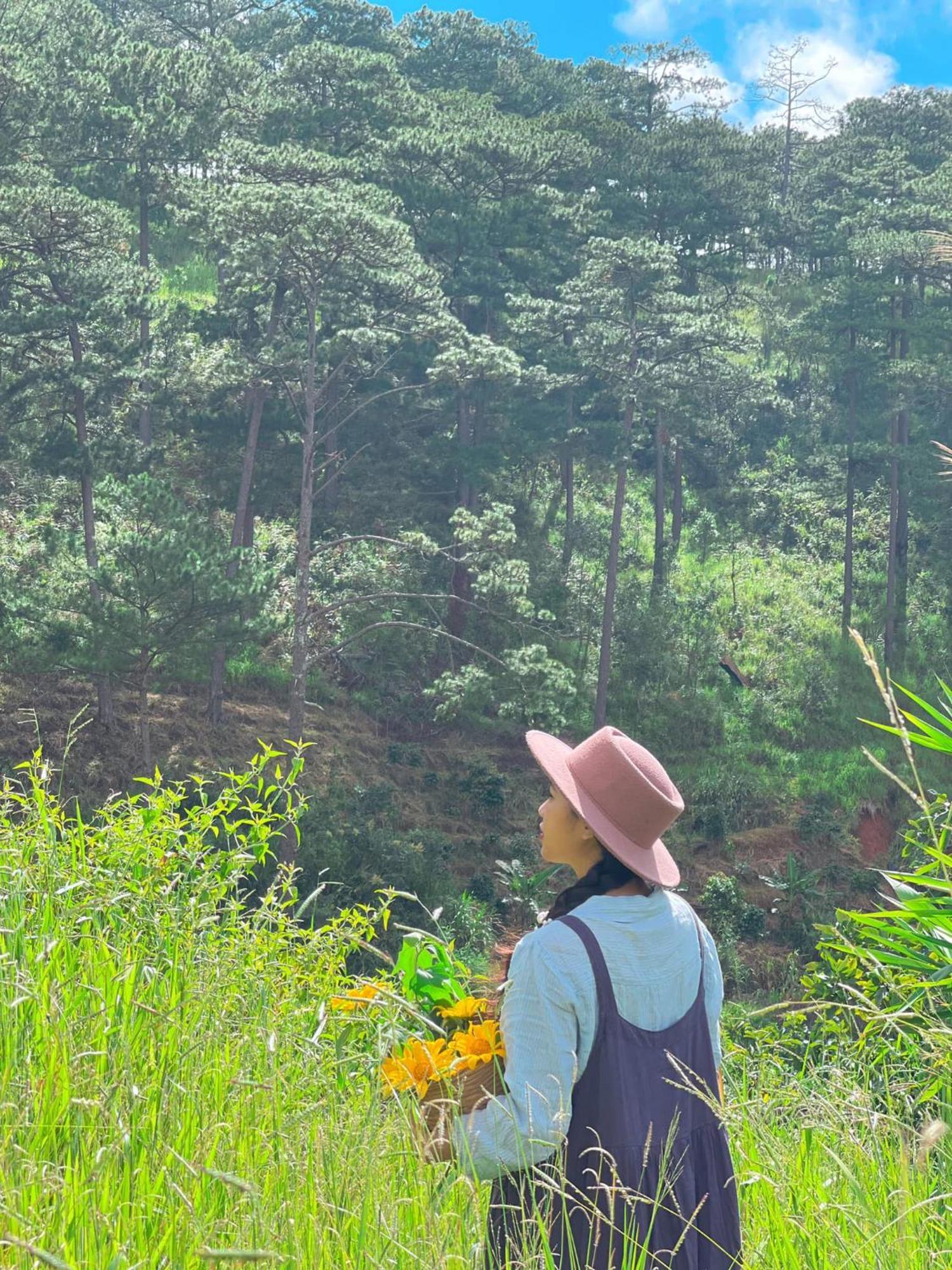 Dalat Memories Homestay - Pho Suong Mo Da Lat Exterior photo