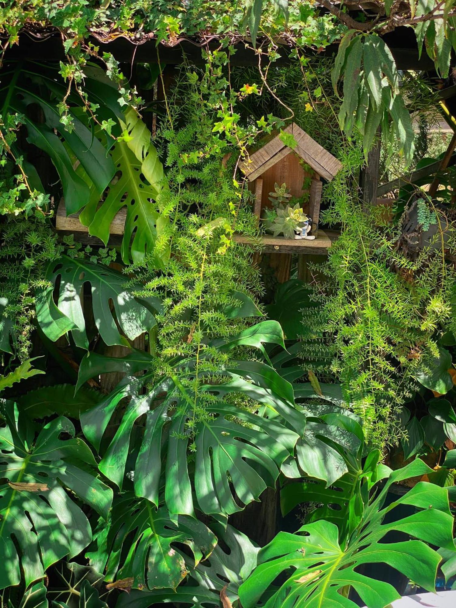 Dalat Memories Homestay - Pho Suong Mo Da Lat Exterior photo