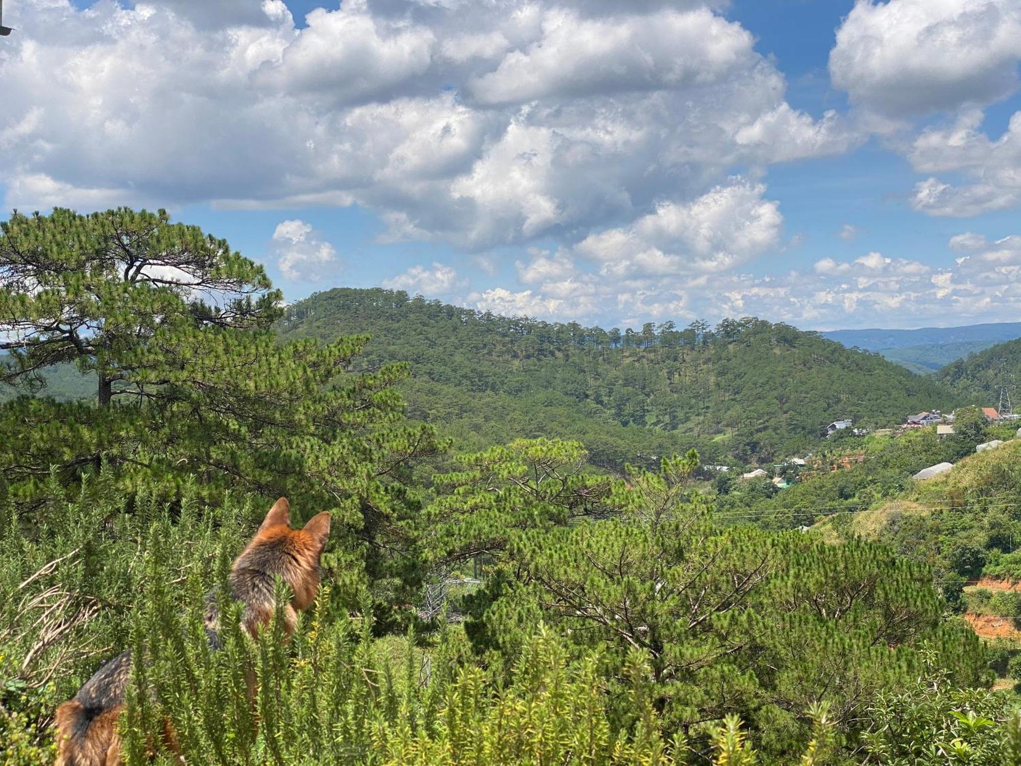 Dalat Memories Homestay - Pho Suong Mo Da Lat Exterior photo