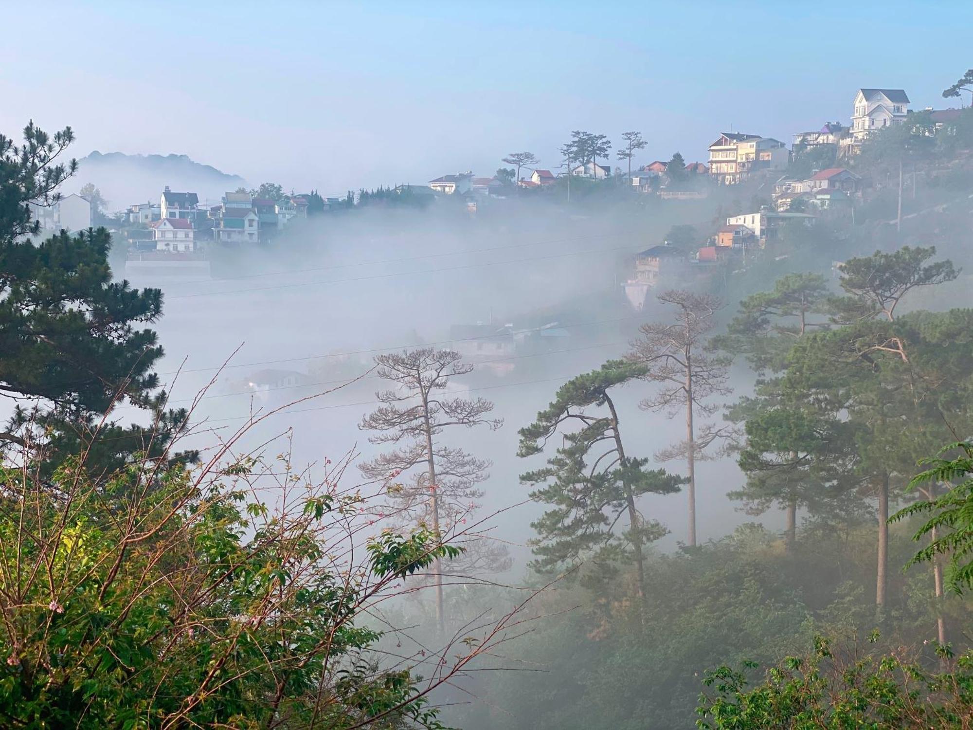 Dalat Memories Homestay - Pho Suong Mo Da Lat Exterior photo