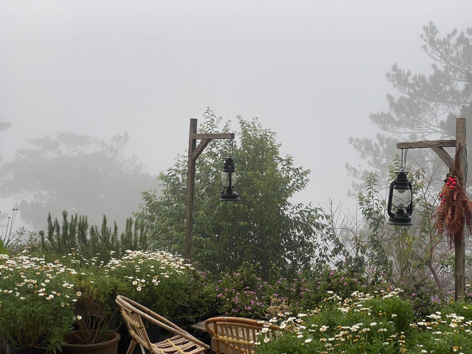 Dalat Memories Homestay - Pho Suong Mo Da Lat Exterior photo